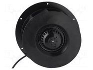 Fan: AC; radial; 230VAC; Ø259x98mm; 720m3/h; 64dBA; ball; 2500rpm FULLTECH