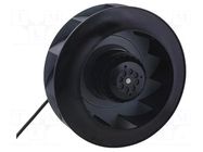 Fan: AC; radial; 230VAC; Ø250x99mm; 1309m3/h; 75dBA; ball; 2600rpm FULLTECH