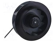 Fan: AC; radial; 230VAC; Ø250x99mm; 1309m3/h; 75dBA; ball; 2600rpm FULLTECH