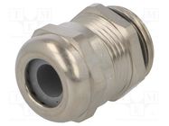 Cable gland; M20; 1.5; IP68; brass; Body plating: nickel HUMMEL