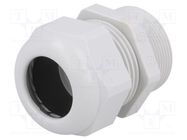 Cable gland; with long thread; PG29; IP68; polyamide; light grey HUMMEL