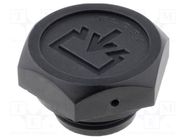 Fill plug; diameter 2 mm side breather hole; Thread: M22 