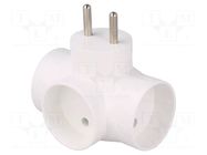 Connector: AC supply; splitter; 2P; Type: round,with backlight TIMEX-ELEKTRO