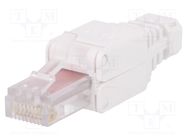 RJ45; plug; PIN: 8; Cat: 6; Layout: 8p8c; 23AWG÷26AWG; white; straight LOGILINK