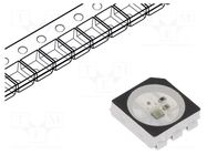 Programmable LED; RGB; SMD; 5050,PLCC6; 3.5÷5.3VDC; 5x5x1.6mm WORLDSEMI