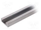 Mounting rail for protection rubber strip; -20÷55°C; 2m GELBAU