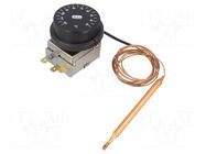 Sensor: thermostat with capillary; SPDT; 10A; 400VAC; ±4°C; BT ARTHERMO