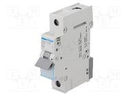 Circuit breaker; 230/400VAC; Inom: 25A; Poles: 1; Charact: B; 6kA 