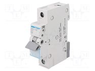 Circuit breaker; 230/400VAC; Inom: 10A; Poles: 1; Charact: B; 6kA HAGER