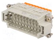 Connector: HDC; male; CDSH; PIN: 27; 10A; 400V; 27+PE; size 77.27 ILME