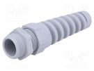 Cable gland; with strain relief; PG11; IP68; polyamide; dark grey LAPP