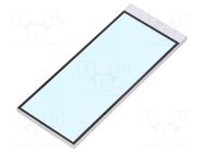 Backlight; LED; Dim: 75x30.48x2.5mm; white; 66.8x27mm; 700cd/m2 DISPLAY ELEKTRONIK