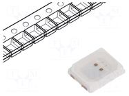 LED; amber; SMD; 5050; 600mcd; 1.6÷2.4VDC; 5x5mm; 120°; 60mA; 180mW LUCKYLIGHT