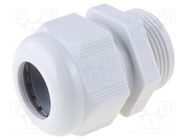 Cable gland; NPT1/2"; IP68; polyamide; grey; HELUTOP HT-NPT HELUKABEL