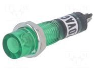 Indicator: with FLUO neon lamp; recessed; green; 230VAC; plastic NINIGI