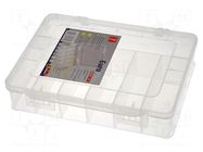 Container: collective; with partitions; polypropylene ALLIT AG