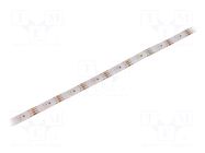 Programmable LED tape; RGB; 5050; LED/m: 30; 10mm; IP65; 140°; 9W/m WORLDSEMI