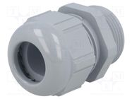 Cable gland; PG21; IP68; polyamide; dark grey LAPP