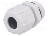 Cable gland; PG11; IP68; polyamide; grey; UL94V-2 BM GROUP