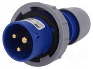 Connector: AC supply; plug; male; 16A; 230VAC; Shark; IEC 60309 PCE