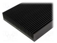 Heatsink: extruded; grilled; black; L: 1000mm; W: 250mm; H: 50mm FISCHER ELEKTRONIK