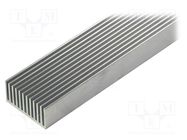 Heatsink: extruded; grilled; natural; L: 1000mm; W: 45mm; H: 22mm FISCHER ELEKTRONIK