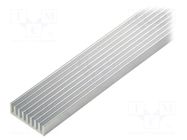 Heatsink: extruded; grilled; natural; L: 1000mm; W: 33mm; H: 10mm FISCHER ELEKTRONIK