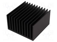 Heatsink: extruded; grilled; black; L: 100mm; W: 100mm; H: 60mm FISCHER ELEKTRONIK