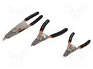 Kit: pliers; for circlip; Kit: replaceable tips; straight; 3pcs. BAHCO