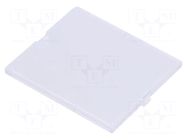 Front panel; without frame,with holder; transparent ITALTRONIC
