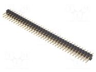 Connector: pin strips; pin header; male; PIN: 72; SL 2; 3A; 250V FISCHER ELEKTRONIK