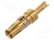 Contact; female; copper alloy; gold-plated; 20AWG÷16AWG; 10A CONEC