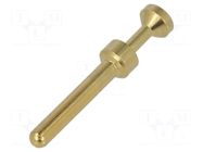 Contact; male; copper alloy; gold-plated; 0.14÷0.37mm2; crimped HARTING