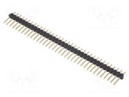 Connector: pin strips; pin header; male; PIN: 36; THT; SL 11; 2.54mm FISCHER ELEKTRONIK