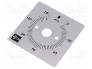Scale for mechanical timer FAUCIGNY INSTRUMENTS