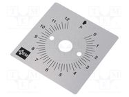 Scale for mechanical timer; MI2R FAUCIGNY INSTRUMENTS