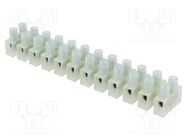 Terminal block; screw terminal; 6mm2; 400V; ways: 12; terminals: 24 BM GROUP