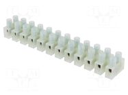 Terminal block; screw terminal; 6mm2; 400V; ways: 12; terminals: 24 BM GROUP