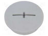 Stopper; M32; 1.5; IP54; polyamide; light grey; SKINDICHT®; 8mm LAPP