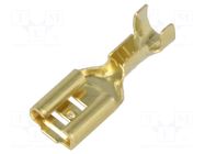 Terminal: flat; 4.8mm; 0.8mm; female; 0.5÷1mm2; crimped; for cable VOGT