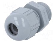 Cable gland; PG9; IP68; polyamide; dark grey; SKINTOP® LAPP