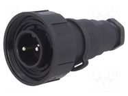 Connector: circular; plug; male; PIN: 2; 12A; 250V; IP68; UL94V-0 BULGIN