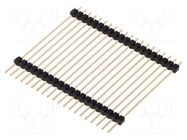 Connector: pin strips; pin header; male; PIN: 20; straight; 3A; THT NINIGI