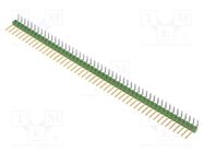 Pin header; pin strips; AMPMODU MOD II; male; PIN: 50; angled 90° TE Connectivity