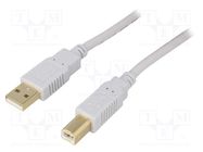 Cable; USB 2.0; USB A plug,USB B plug; gold-plated; 3m; grey BQ CABLE