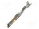 Contact; female; gold-plated; 30AWG÷24AWG; SL; cut from reel MOLEX