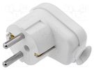 Connector: AC supply; male; plug; 2P+PE; 230VAC; 16A; white; PIN: 3 PLASTROL