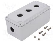 Enclosure: for remote controller; IP66,IP67; X: 80mm; Y: 170mm LOVATO ELECTRIC