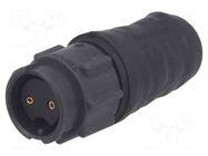 Connector: circular; plug; female; 3A; 600VAC; PIN: 2; EN3; soldering SWITCHCRAFT