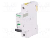 Circuit breaker; 230VAC; Inom: 32A; Poles: 1; Charact: C; 6kA; IP20 SCHNEIDER ELECTRIC